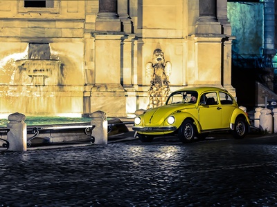 Beetle