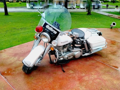 FL Electra Glide