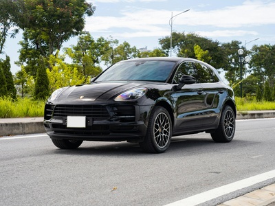 Macan