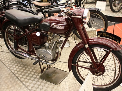 Terrier T15