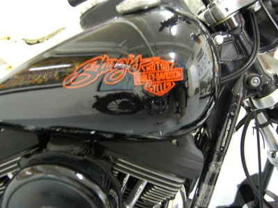 FXDB Sturgis