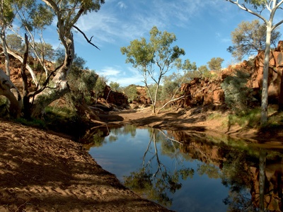 Outback