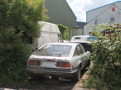 Rover SD1