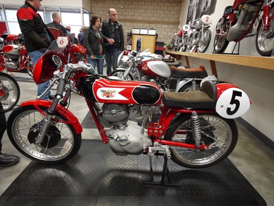 Settebello 175