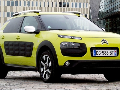 C4 Cactus
