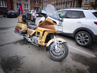 Gold Wing