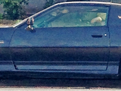 Pontiac Firebird (Third gen)