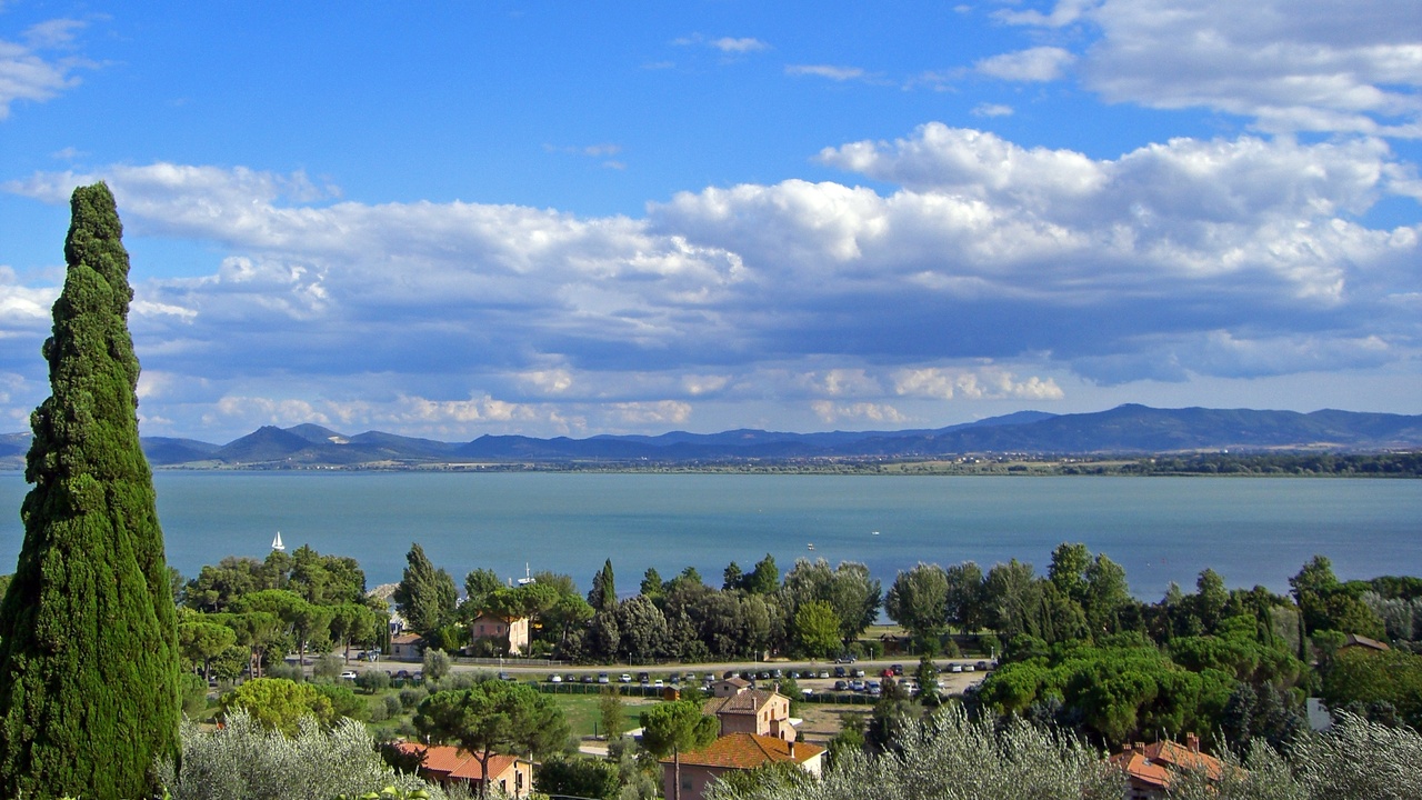 Side mirror indicator light showing blind spot warning and bumper radar sensor