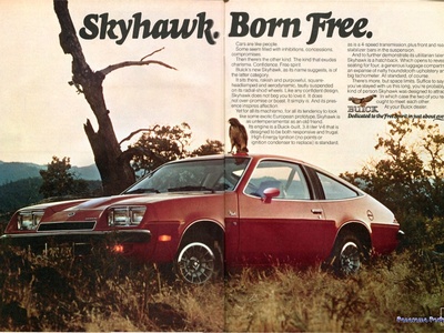 Skyhawk