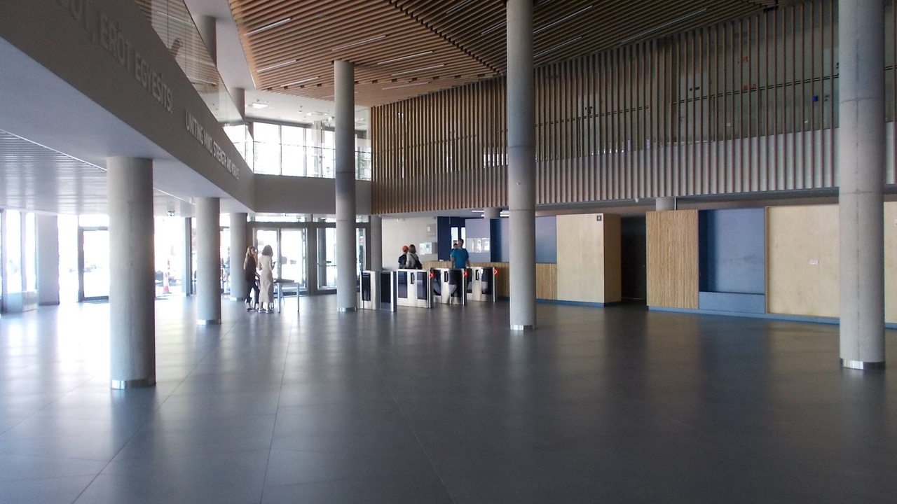 Homeowner unloading groceries in garage with organized storage.