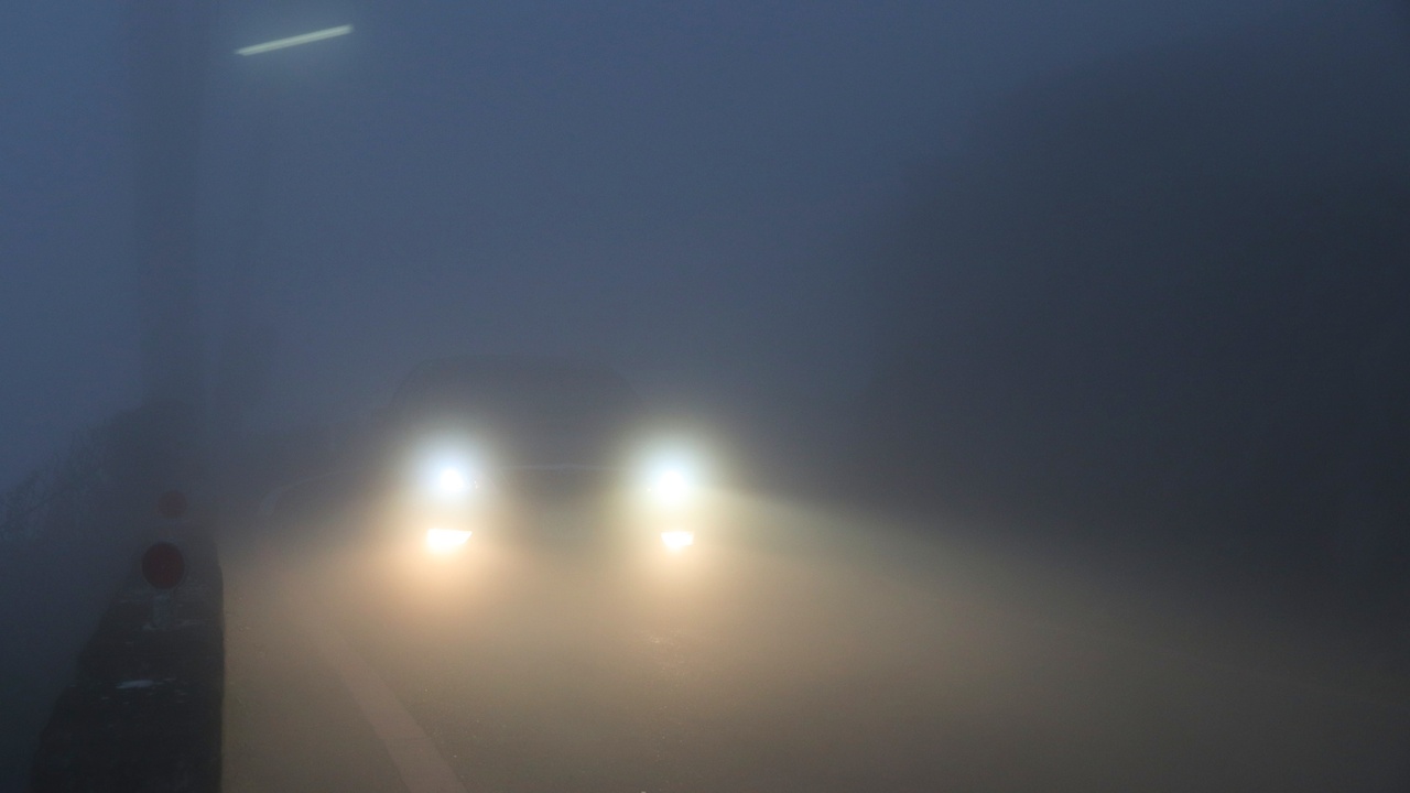 Headlight beams illuminating a dark road, showing HID vs halogen comparison
