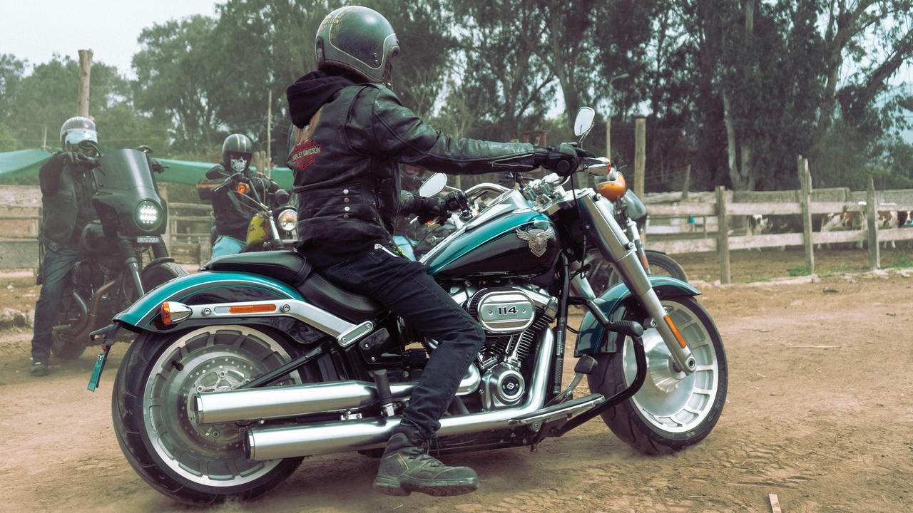 Rider on a dual-sport bike on a forest road near a ranger station.