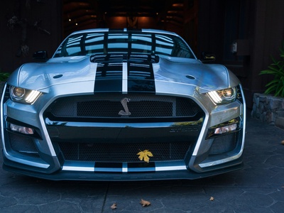 Shelby GT500
