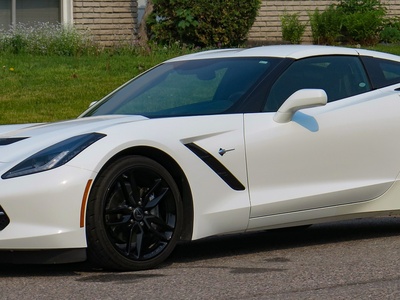 Stingray 2LT