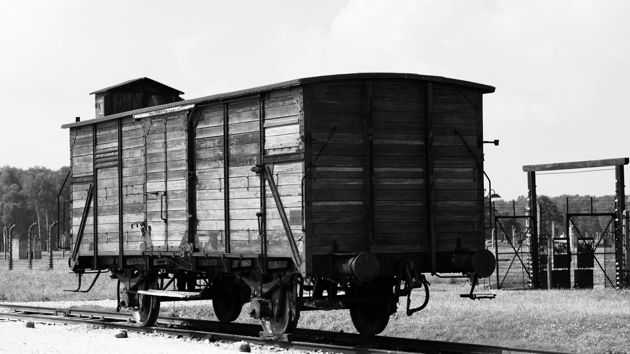 Wagon rear cargo area showing open hatch and loaded gear