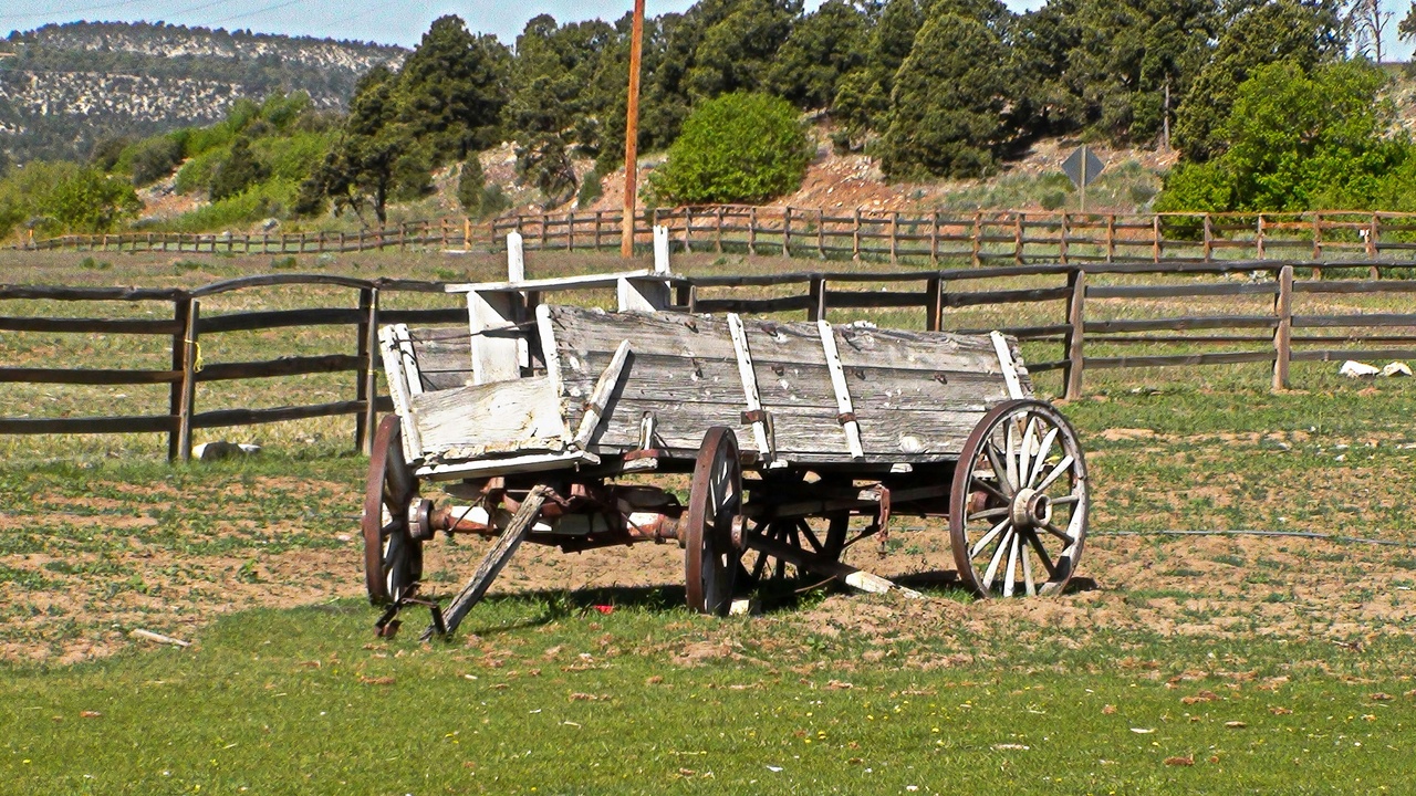 Wagon parked with family unloading showing ownership practicality