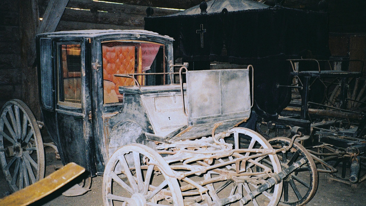 Wagon interior showing rear seats folded and pet-friendly cargo area