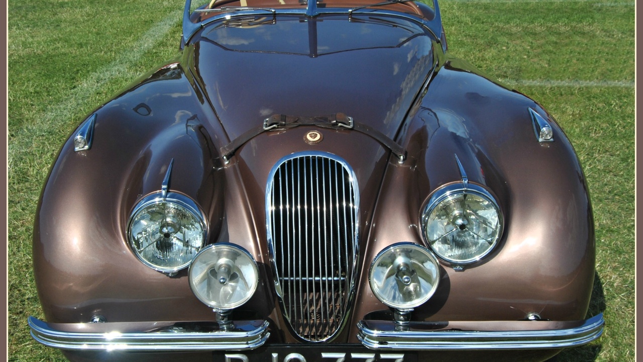 Supercar sliced open showing aerodynamic design and high-speed performance