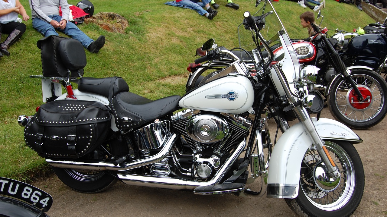Two Harley-Davidson touring bikes on a highway at sunset, loaded with saddlebags.