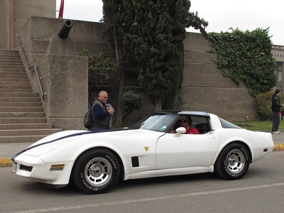 Corvette (C3) 1981