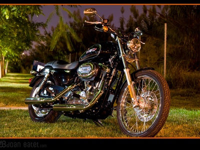 Sportster 1200 Custom