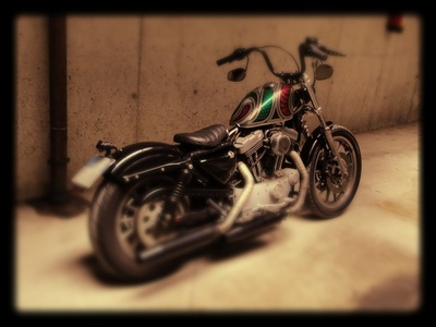 Sportster 1200 Sport