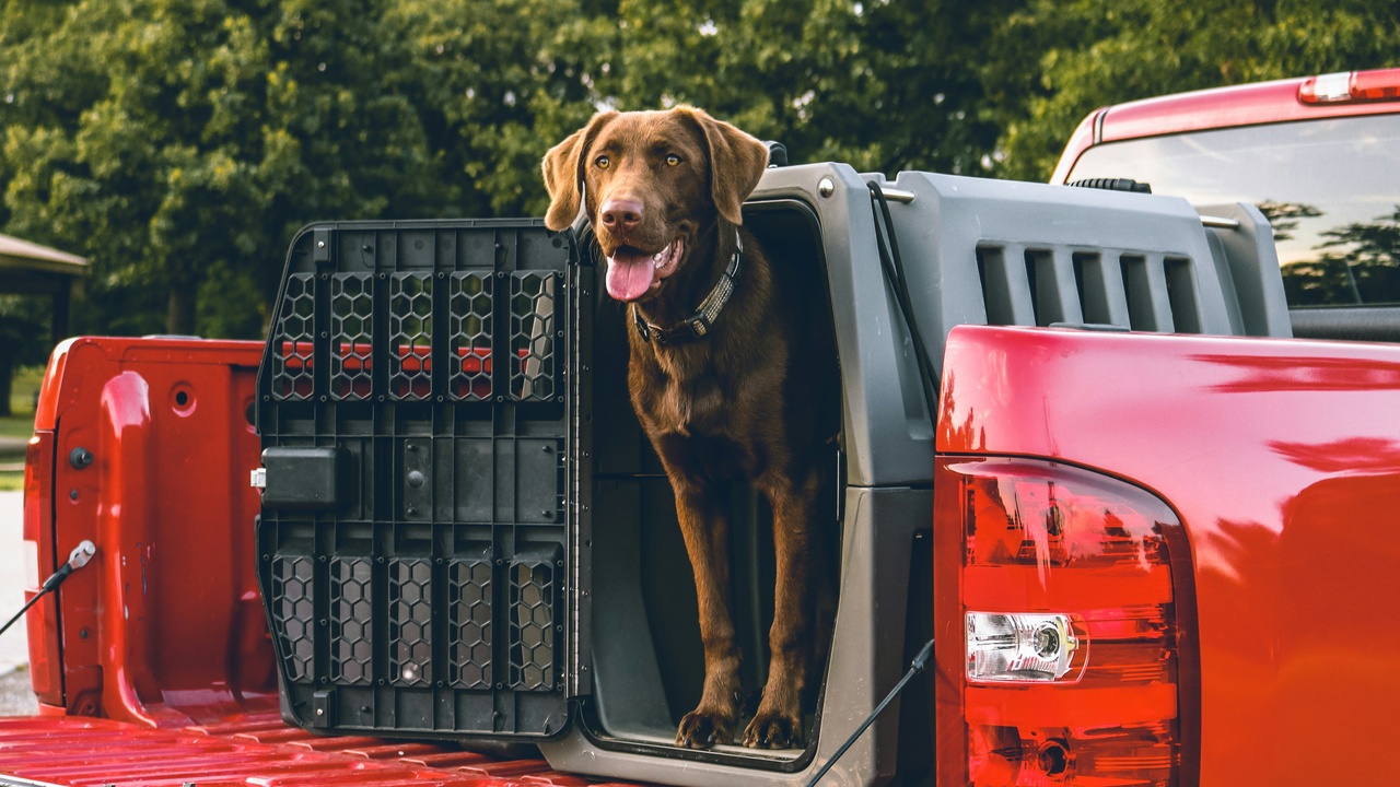 Spray-on truck bed liner showing textured surface protecting cargo
