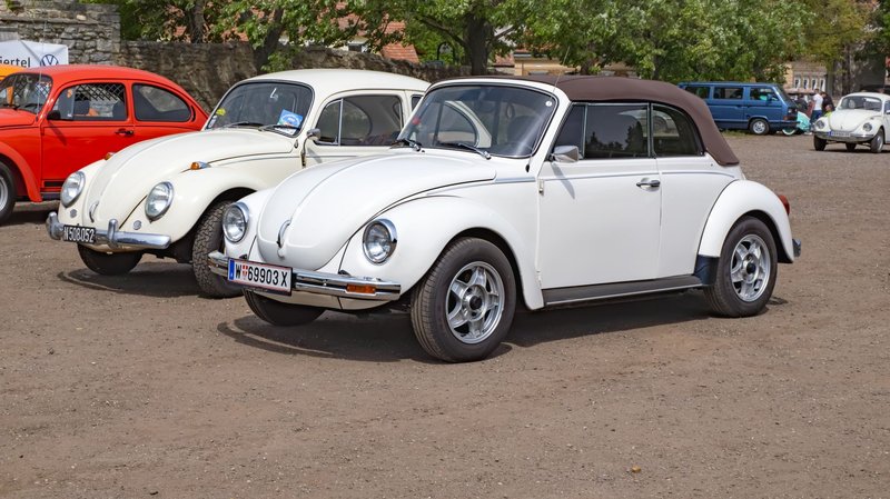 A lineup of vintage Volkswagen Beetles parked outdoors on a sunny day.