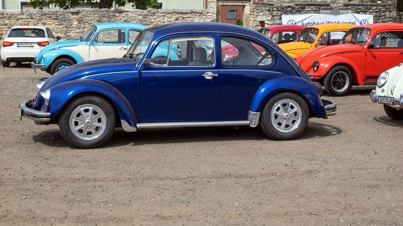 A line-up of vintage Volkswagen Beetle cars in various colors parked outdoors on a sunny day.