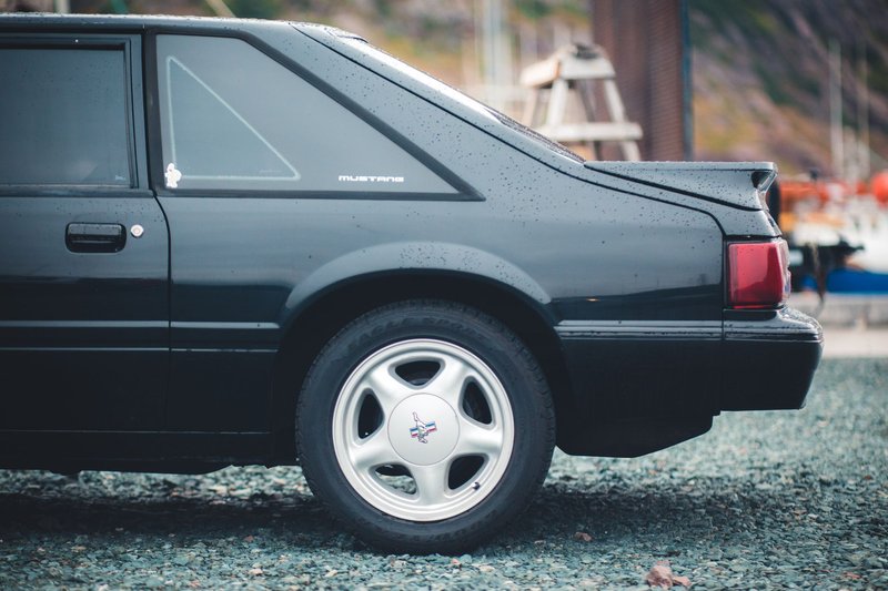Rear view of a vintage black Mustang parked on rocky ground, near marina.