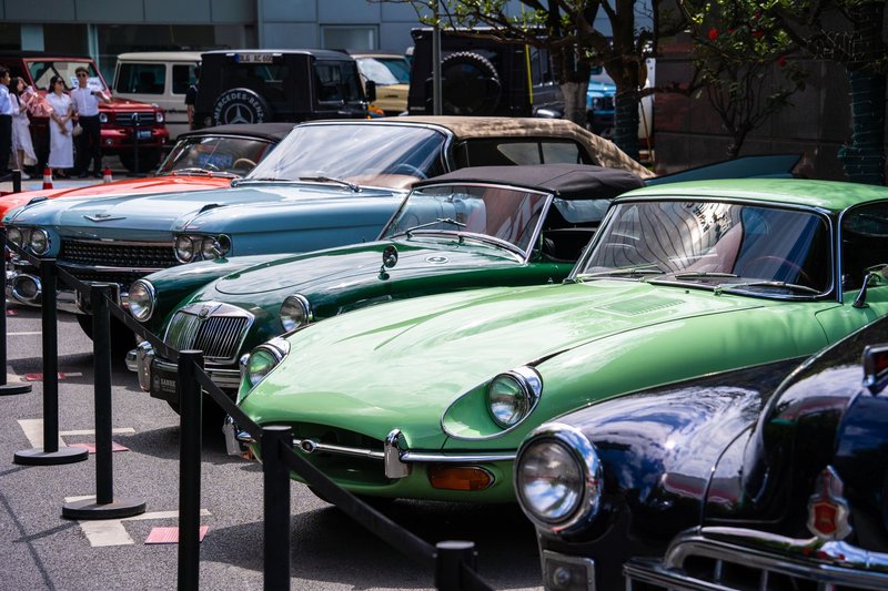 A row of classic vintage cars on display outdoors, showcasing timeless automotive design under daylight.