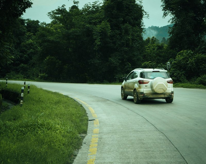 A white SUV turns on a scenic forest road surrounded by lush greenery.