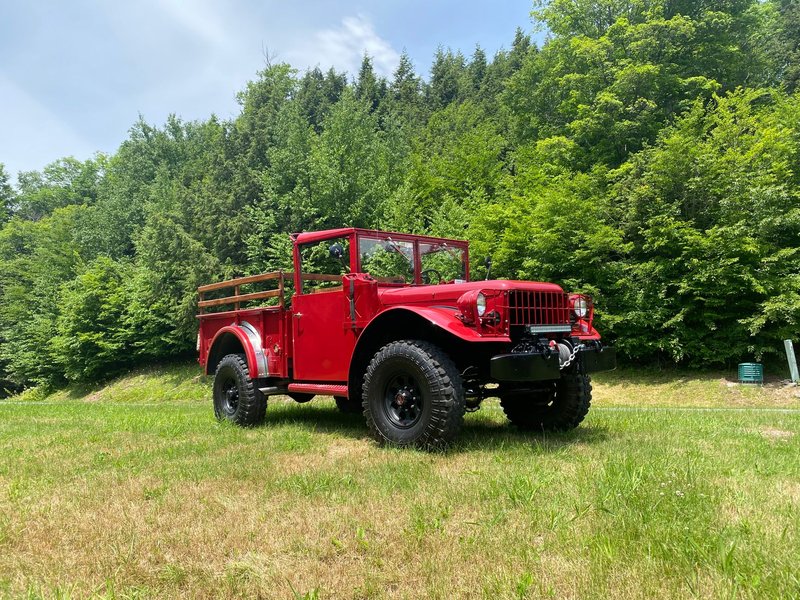 Classic red jeep parked on a grass field surrounded by lush green trees on a bright day.