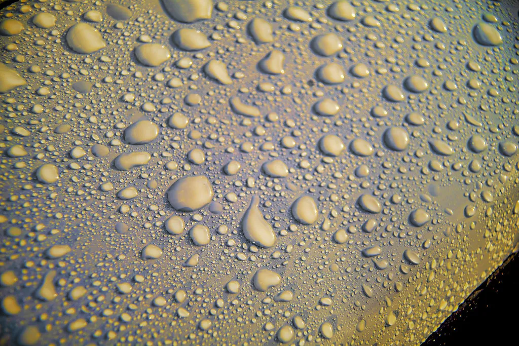 Water beads sitting on a protected car paint surface